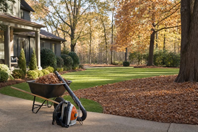 Yard Cleanup by Southbound Landscape Co. in North Mississippi